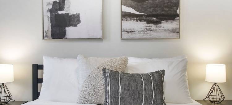 埃文斯顿的可爱一卧室 - 埃尔姆伍德105(Lovely 1Br Apt in Evanston - Elmwood 105)图片