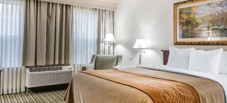 普莱恩韦尔舒适酒店(Comfort Inn)图片