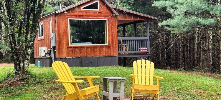 Remote Tiny Cabin & Hiking!图片