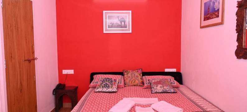 乌代布尔的Mewarts酒店(Hotel Mewarts Udaipur)图片