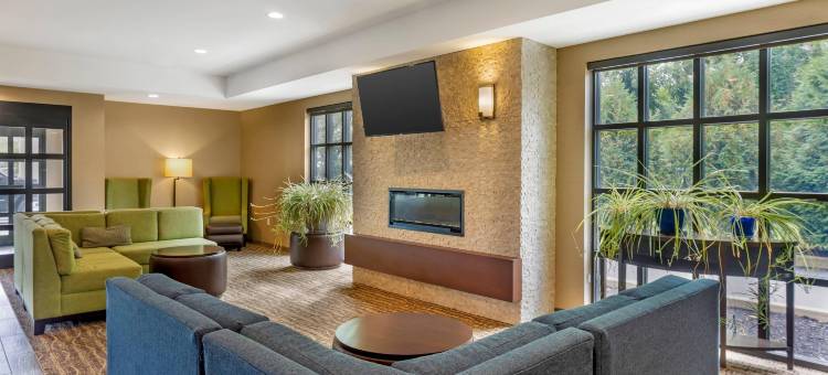 舒适套房酒店阿米什乡村(Comfort Inn & Suites Amish Country)图片