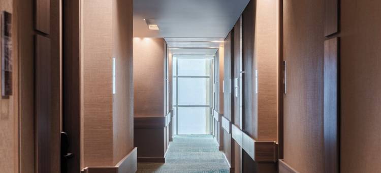 巴兰基亚欢朋酒店(Hampton Inn by Hilton Barranquilla)图片