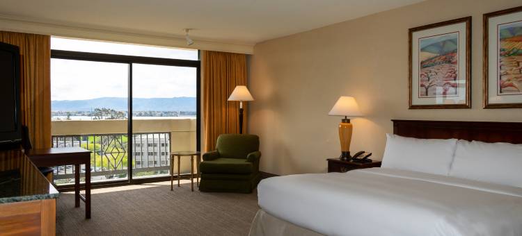 圣何塞希尔顿逸林酒店(DoubleTree by Hilton San Jose)图片