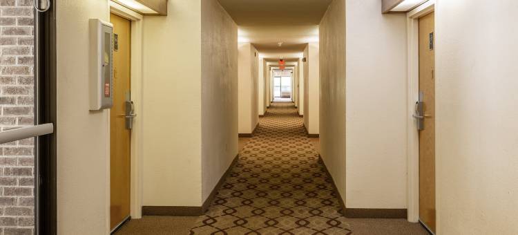 哈兹维尔红屋顶酒店(Red Roof Inn Hardeeville)图片