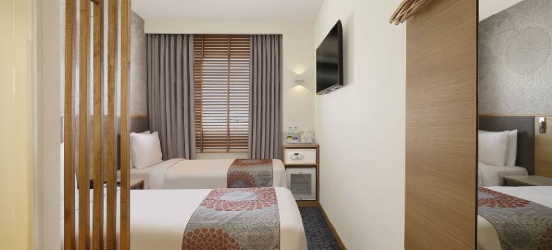 辛杰瓦迪浦那智选假日酒店(Holiday Inn Express PUNE HINJEWADI by IHG)图片