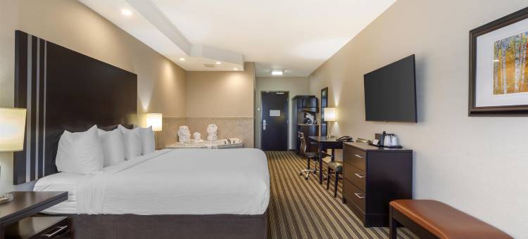 舍伍德帕克公园贝斯特韦斯特优质套房酒店(Best Western Plus Sherwood Park Inn  Suites)图片