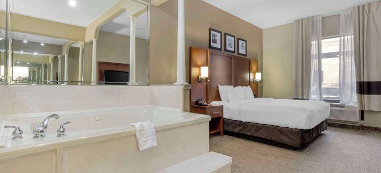 休斯顿西北舒适套房酒店-复古公园(Comfort Suites Houston NW - Vintage Park)图片