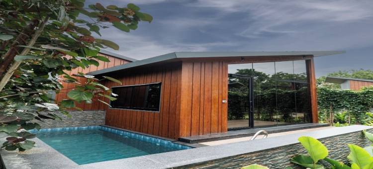 福雷斯特(Forrest)图片