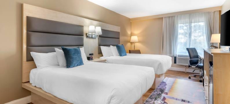 卡斯科湾酒店波特兰机场-缅因购物中心，傲途格精选酒店(Casco Bay Hotel Portland Airport - Maine Mall, Ascend Hotel Collection)图片