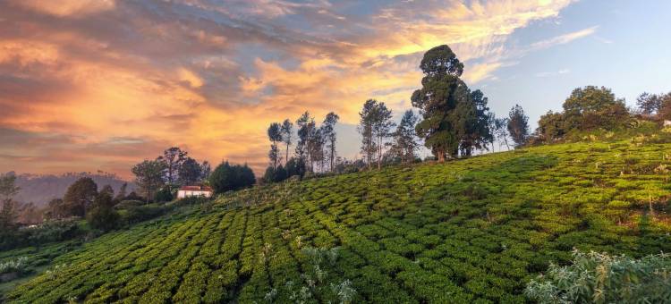 自然度假村与住宿的隐居处(Solitude by Nature Resorts and Stays)图片