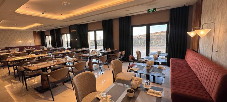 公园德德曼科尼亚酒店(Park Dedeman Konya)图片