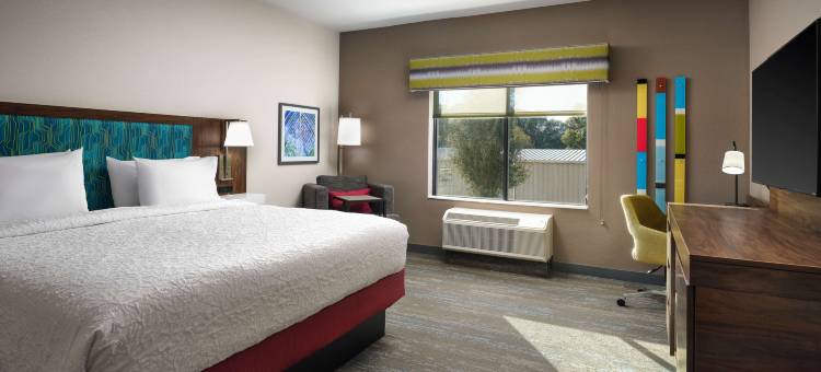 佛罗里达圣彼特斯堡帕拉斯帕克欢朋酒店(Hampton Inn by Hilton Pinellas Park St. Petersburg)图片