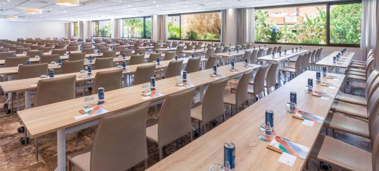 美利亚莱布雷罗斯酒店(Melia Lebreros)图片