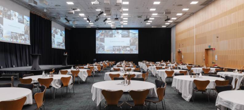 赛恩凯瑞华晟酒店(Clarion Hotel Sign)图片