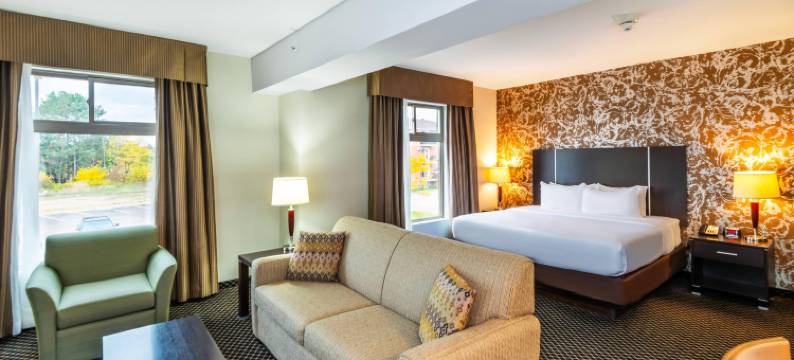 彼得华华品质酒店及套房(Quality Inn & Suites)图片