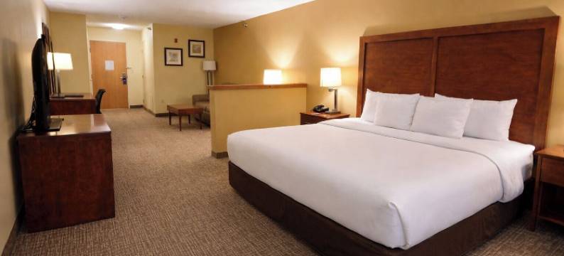 瓦通纳近医学中心舒适酒店(Comfort Inn Owatonna Near Medical Center)图片