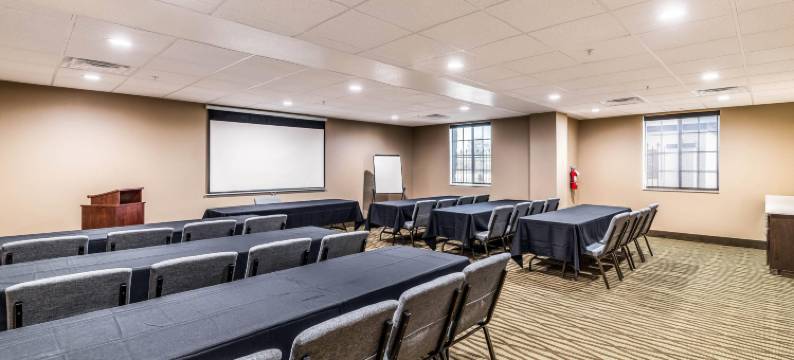 大草原城阿灵顿北部舒适套房酒店(Comfort Suites Grand Prairie - Arlington North)图片