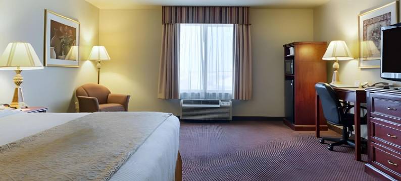 舒适套房酒店(Comfort Inn & Suites)图片