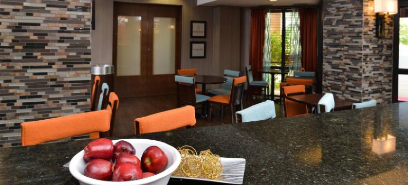 芝加哥卡罗尔斯特林欢朋酒店(Hampton Inn Chicago/Carol Stream (Wheaton Area))图片