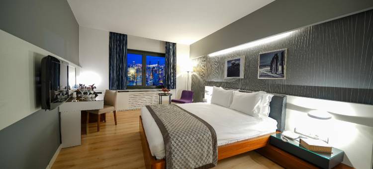 伊斯坦布尔瑟梅里酒店(Surmeli Istanbul Hotel)图片