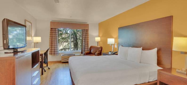 纳帕谷六旗探索王国凯艺酒店(Quality Inn Near Six Flags Discovery Kingdom-Napa Valley)图片