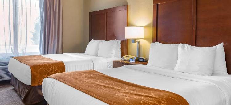 琼斯伯勒大学区舒适套房酒店(Comfort Suites Jonesboro University Area)图片