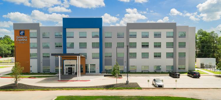 洲际酒店集团旗下泰勒南大学区智选假日酒店(Holiday Inn Express & Suites TYLER SOUTH – UNIVERSITY AREA by IHG)图片