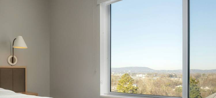 查塔努加南部/东里奇TownePlace Suites套房酒店(TownePlace Suites Chattanooga South/East Ridge)图片