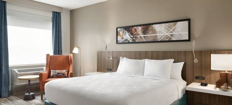 韦恩堡希尔顿花园酒店(Hilton Garden Inn Fort Wayne)图片