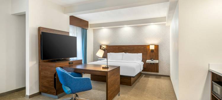 希尔顿欢朋酒店 - 彼得堡福特李(Hampton Inn by Hilton Petersburg Fort Lee)图片