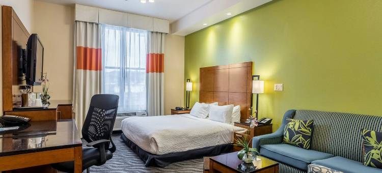 阿拉莫戈多万枫酒店及套房(Fairfield Inn & Suites Alamogordo)图片