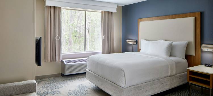 亚特兰大阿尔普哈雷塔万豪SpringHill酒店(SpringHill Suites Atlanta Alpharetta)图片