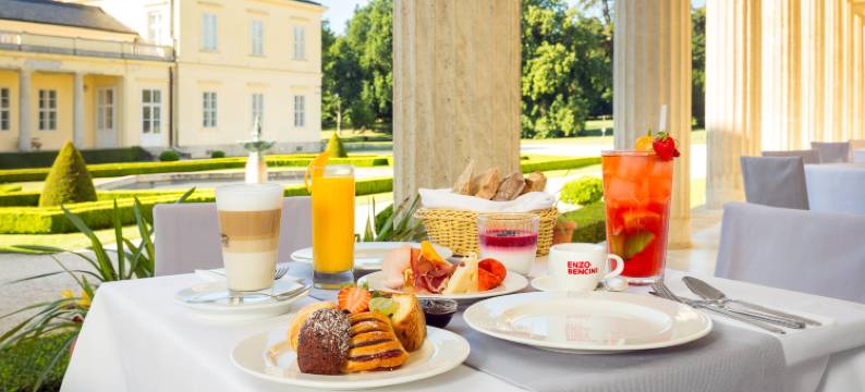 卡洛耶卡斯蒂里酒店及餐厅(Károlyi Kastély Hotel & Restaurant)图片