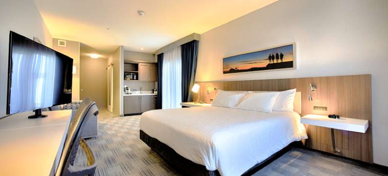 圣芭芭拉戈累希尔顿花园酒店(Hilton Garden Inn Santa Barbara/Goleta)图片