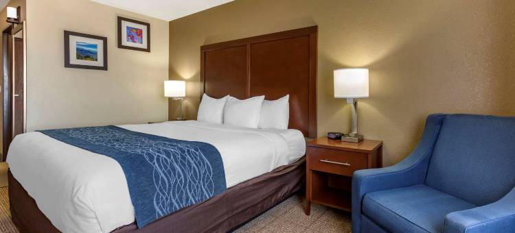 阿拉米达阿尔伯克基热气球节公园舒适套房酒店(Comfort Inn & Suites Alameda at Albuquerque Balloon Fiesta Park)图片