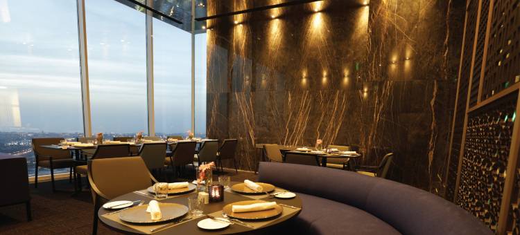 阿尔及尔谢拉加塔假日酒店(Holiday Inn Algiers - Cheraga Tower)图片