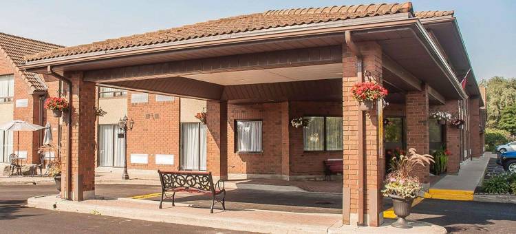 舒适酒店(Comfort Inn)图片