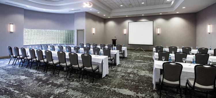 底特律诺维万豪德尔塔酒店(Delta Hotels Detroit Novi)图片