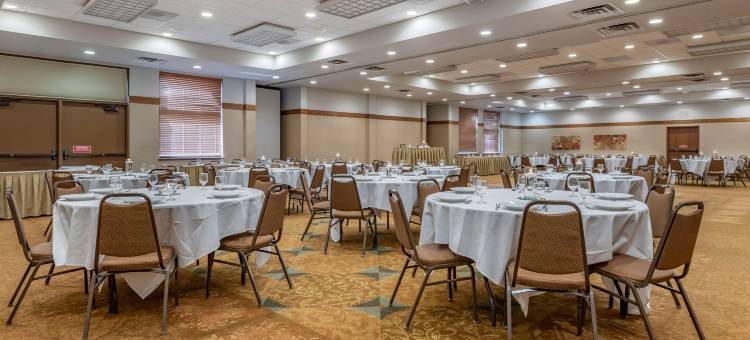 东兰辛奥克莫斯舒适酒店(Comfort Inn Okemos - East Lansing)图片