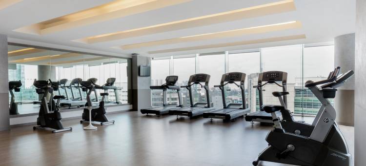 墨西哥城圣达菲希尔顿花园酒店(Hilton Garden Inn Mexico City Santa Fe)图片