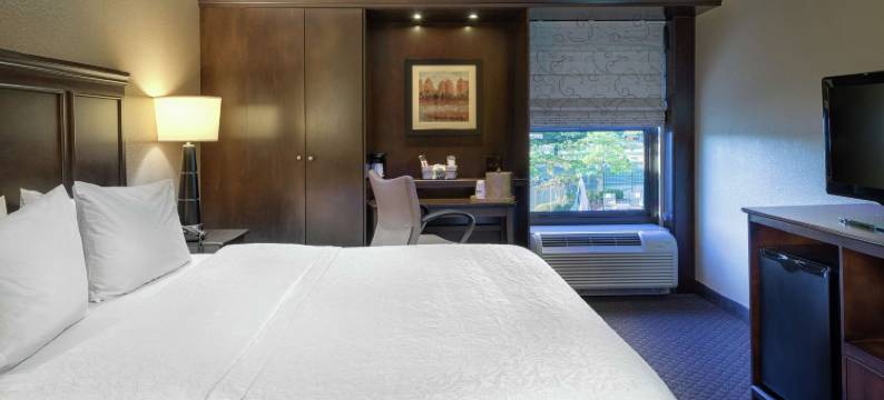 塔斯卡卢萨大学欢朋酒店(Hampton Inn Tuscaloosa-University)图片
