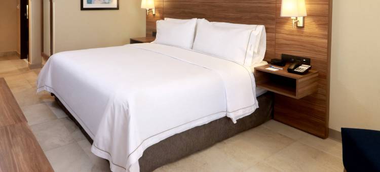 瓜达拉哈拉机场智选假日酒店(Holiday Inn Express Guadalajara Aeropuerto)图片