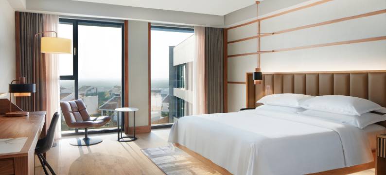 普里什蒂纳市福朋喜来登酒店(Four Points by Sheraton Prishtina City)图片