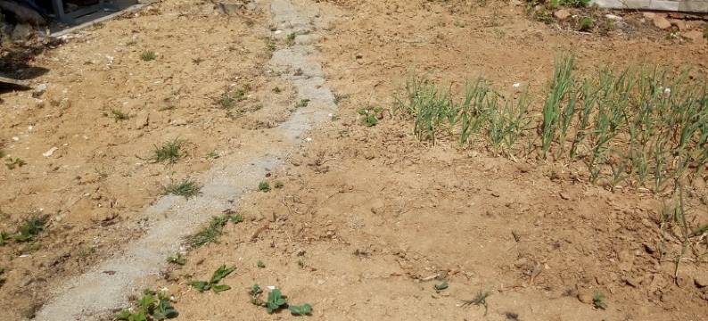 海王之家公寓(莲花山路分店)图片