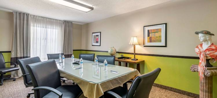 舒适酒店及套房-圣彼得堡-克利尔沃特国际机场(Comfort Inn & Suites St Pete - Clearwater International Airport)图片