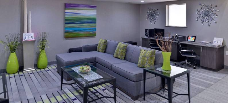 舒适酒店及套房-弗赖拉辛-普莱诺(Comfort Inn & Suites Frisco - Plano)图片