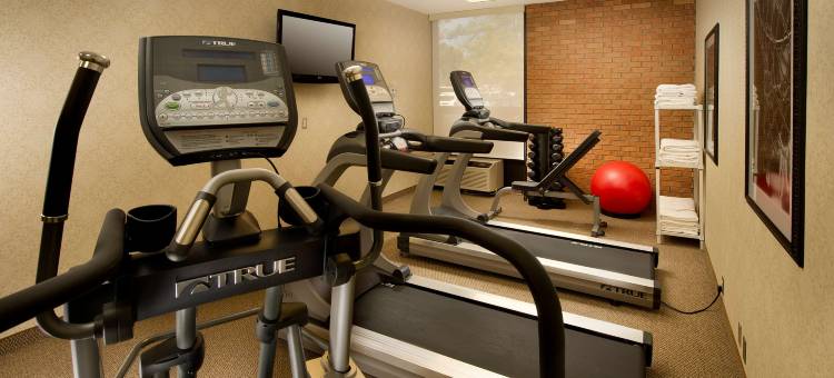 弗兰肯默斯德鲁套房酒店(Drury Inn & Suites Frankenmuth)图片