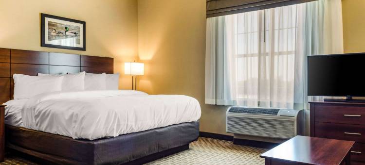 美茵斯坦套房酒店哈克伯里运动员小屋(MainStay Suites Hackberry Sportsman's Lodge)图片