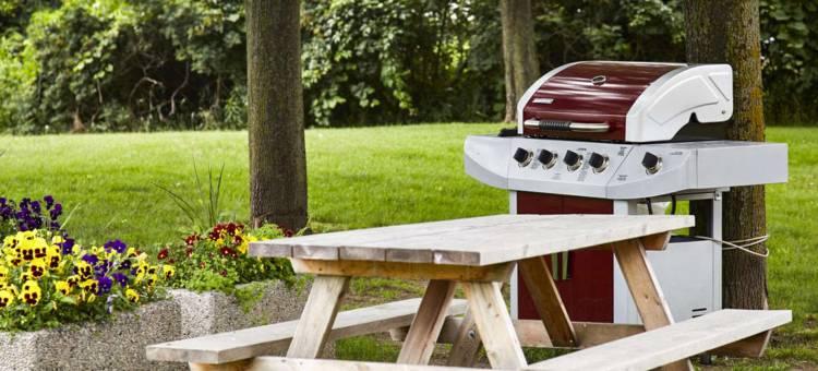 凯艺酒店(Quality Inn)图片