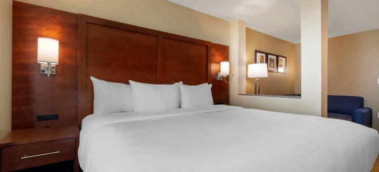 尤里斯舒适酒店客栈及套房(Comfort Inn & Suites Euless DFW West)图片